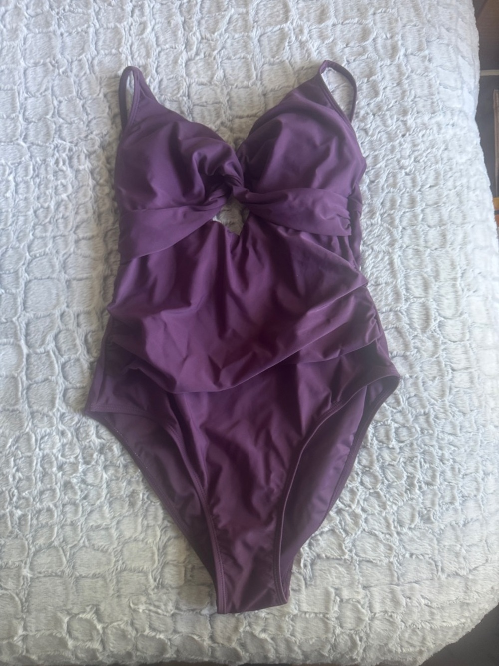 Deep Plum One-Piece Swimsuit with Twist Front